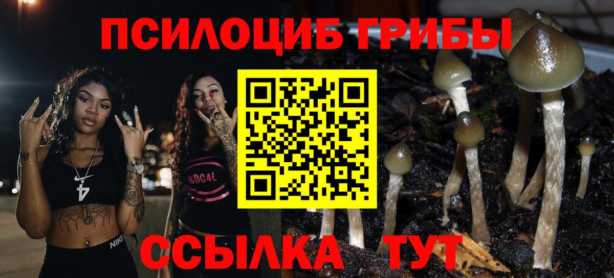 Галлюциногенные грибы Magic Shrooms Краснодар